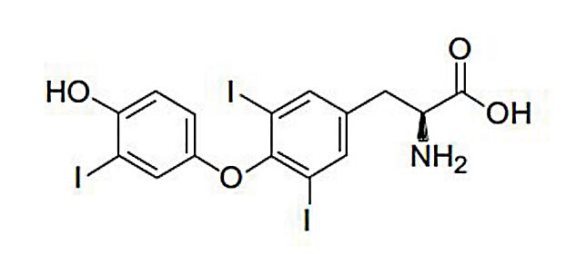 大观霉素对照品哪里买