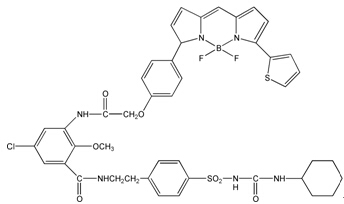 内质网红色荧光探针(活细胞)优惠促销