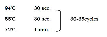 以λDNA为模板,扩增1 kbp的DNA片段的PCR反应条件如下