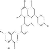 7-去甲基银杏双黄酮521-32-4