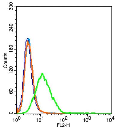 CD133造血干细胞抗原CD133抗体