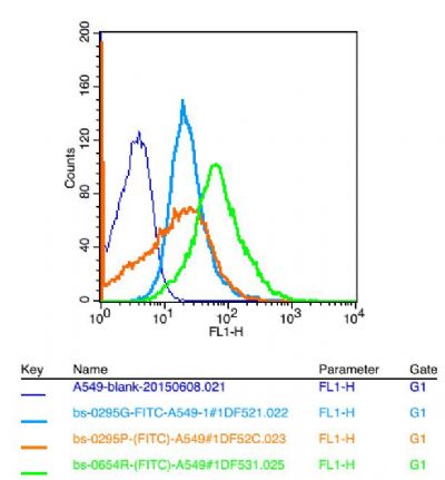 Growth hormone receptor antibo