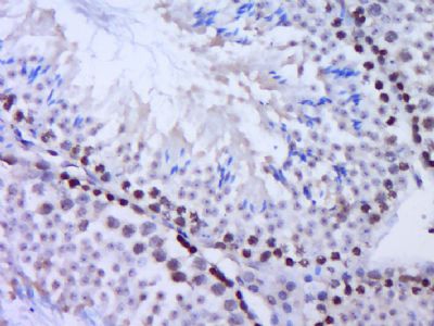 产品细节图片10