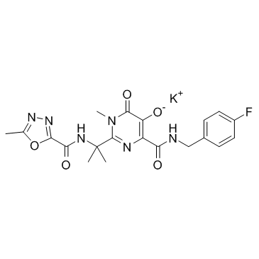 Raltegravir potassiu*(代