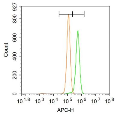 DAB2信号转导功能磷蛋白DAB2抗体