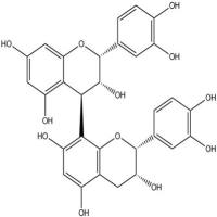 原花青素B229106-49-8