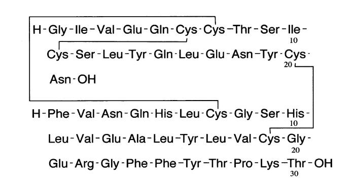 L-谷氨酰胺标准品库存
