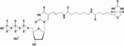 Biotin-11-dUTP