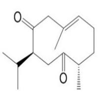莪术二酮13657-68-6