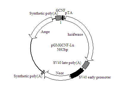 2×Long PCR Master Mix(含染料)厂家