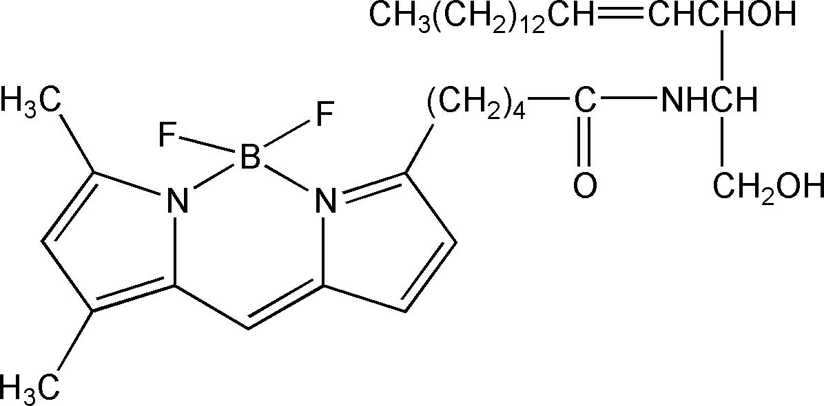 133867-53-5型高尔基体绿色荧光探针供应