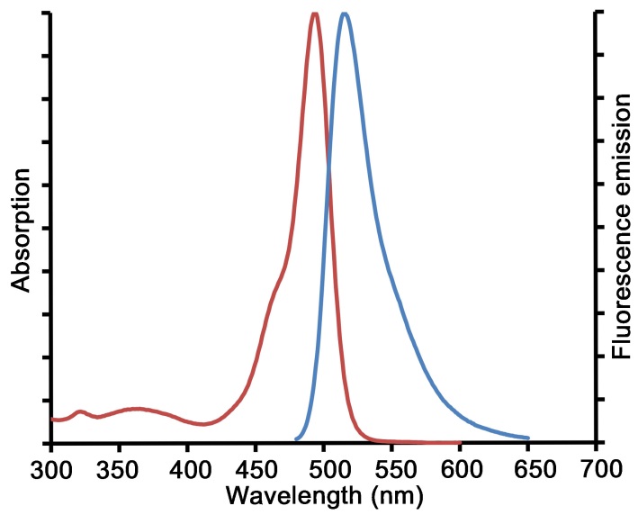 Fluo-4的激发光谱和发射光谱