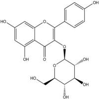 紫云英苷480-10-4