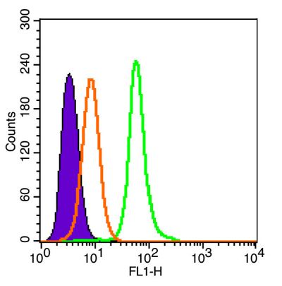 Neutrophil Elastase antibody