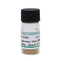 胶原酶I型 (Collagenase, Type I)