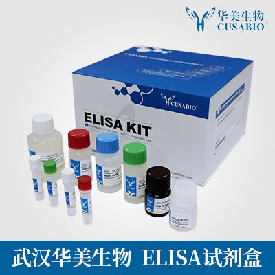 马白介素6(IL-6)酶联免疫试剂盒Horse Interleukin 6(IL-6)ELISA Kit【华美生物】