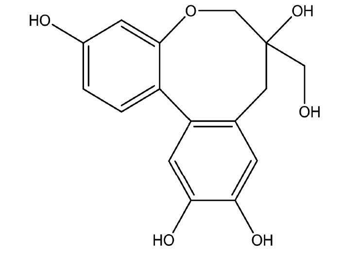 左氧氟沙星对照品现货促销