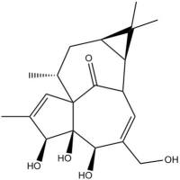 巨大戟醇30220-46-3