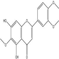 异泽兰黄素22368-21-4