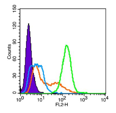 Histone H3 (acetyl K27) antibo