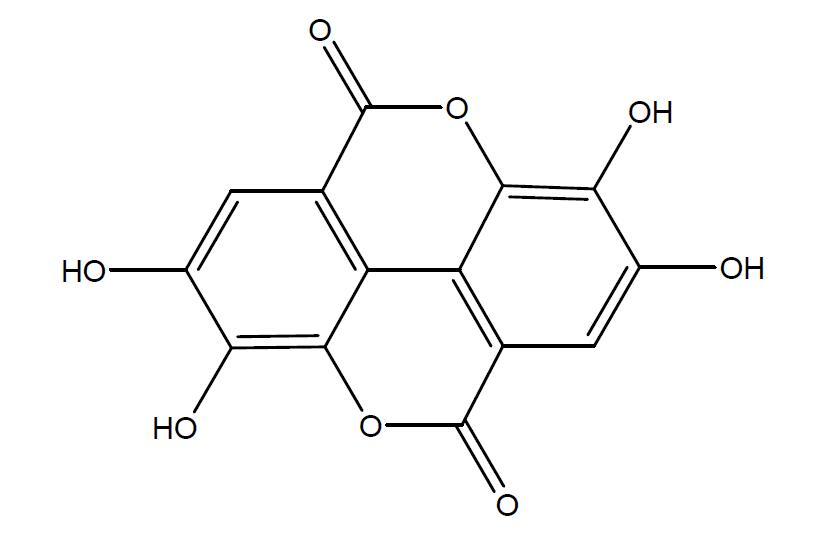 盐酸川芎嗪对照品北京价格