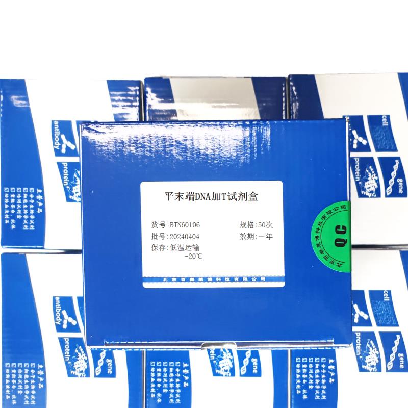 北京现货平末端DNA加T试剂盒优惠