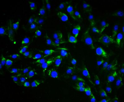 产品细节图片10