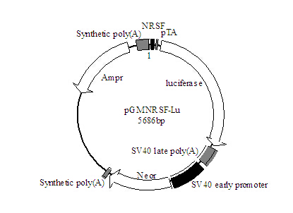 15%预制胶，12孔折扣价