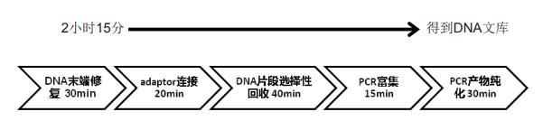 北京现货二代测序DNA快速建库试剂盒(Ion Torrent