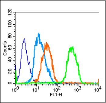 Phospho-PPAR Gamma (Ser112) an