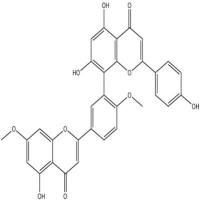 银杏双黄酮481-46-9