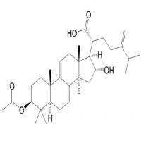 去氢茯苓酸77012-31-8
