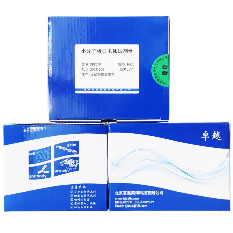 小分子蛋白电泳试剂盒打折促销