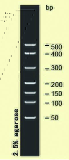 DNA ladder(50-500bp)