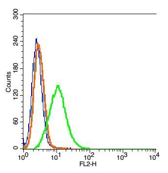 LRRK2富亮氨酸重复激酶2抗体