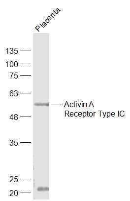 产品细节图片3