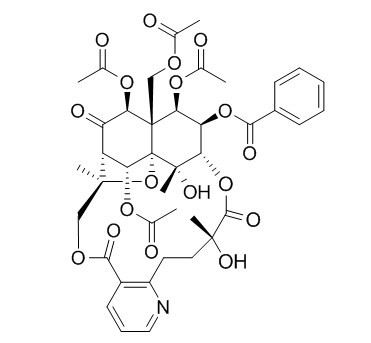 鬼箭羽碱，叶含卫矛碱HPLC≥98%
