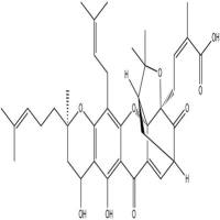 新藤黄酸93772-31-7