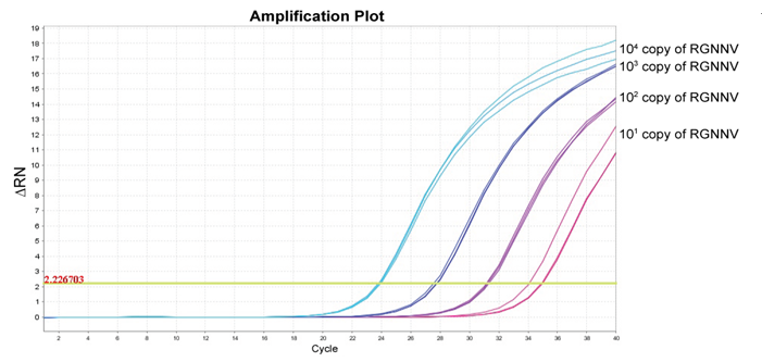台湾旭基－病毒核酸纯化试剂盒VR100