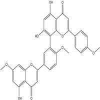 金松双黄酮521-34-6