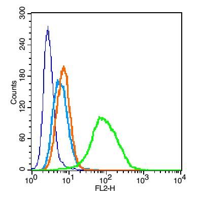IL2RA/CD25白介素2受体a链/IL-2RA抗体