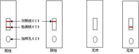 猪乙脑抗体检测卡