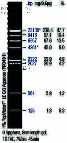 DNA marker(λDNA/HindIII)