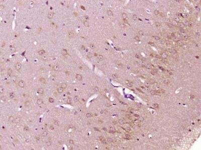 产品细节图片10