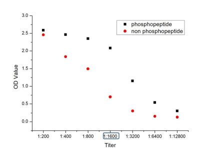 Phospho-PPAR Gamma (Ser112) an