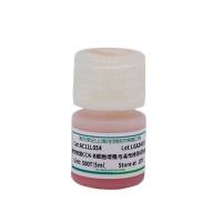 CCK-8试剂盒（Cell Counting Kit-8）