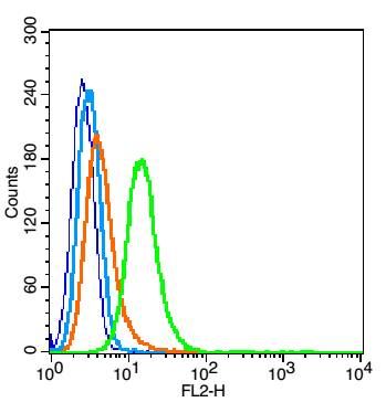 Integrin Alpha V + Beta 6整合素αV
