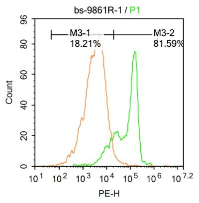 Titin/CMD1G扩张型心肌病蛋白1G抗体