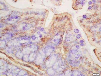 产品细节图片4