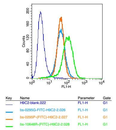 Cardiac Troponin T心肌特异性肌钙蛋白T抗体